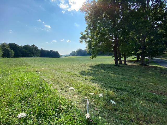 Photo #9: Lot 2 Old Shiloh Rd