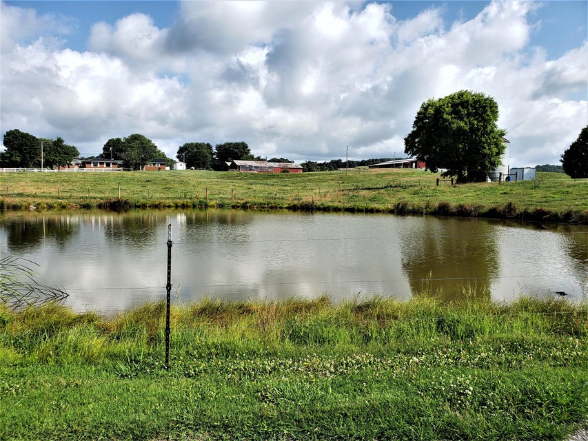Photo #18: 1335 Melinda Ferry Road