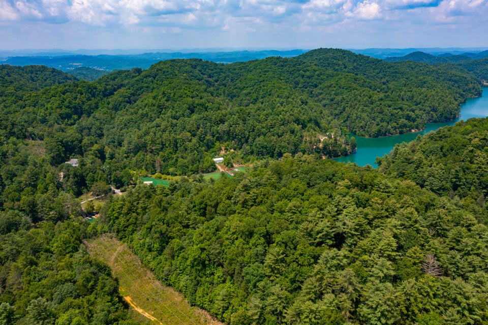 Photo #6: Tbd Riddle Creek Road