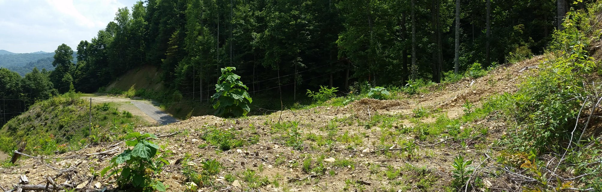 Photo #32: 306 Honeymoon Hollow Lot 68
