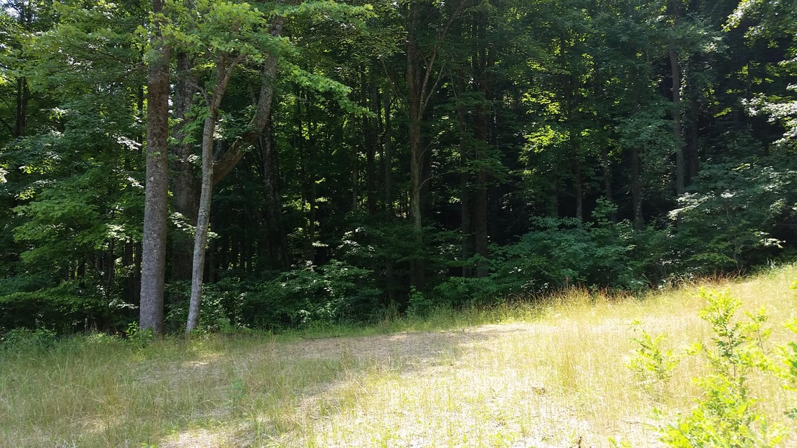 Photo #42: 306 Honeymoon Hollow Lot 68