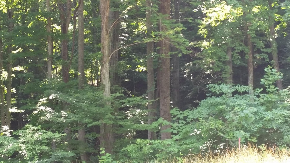 Photo #43: 306 Honeymoon Hollow Lot 68