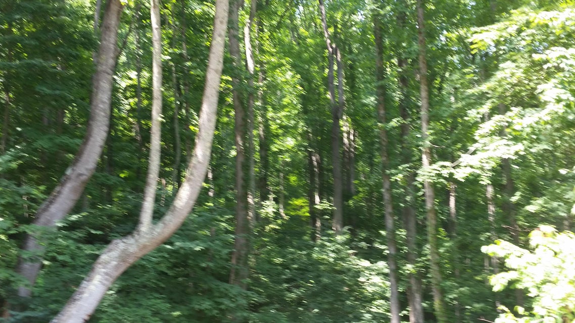 Photo #44: 306 Honeymoon Hollow Lot 68