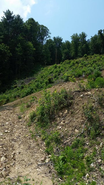 Photo #29: 306 Honeymoon Hollow Lot 68