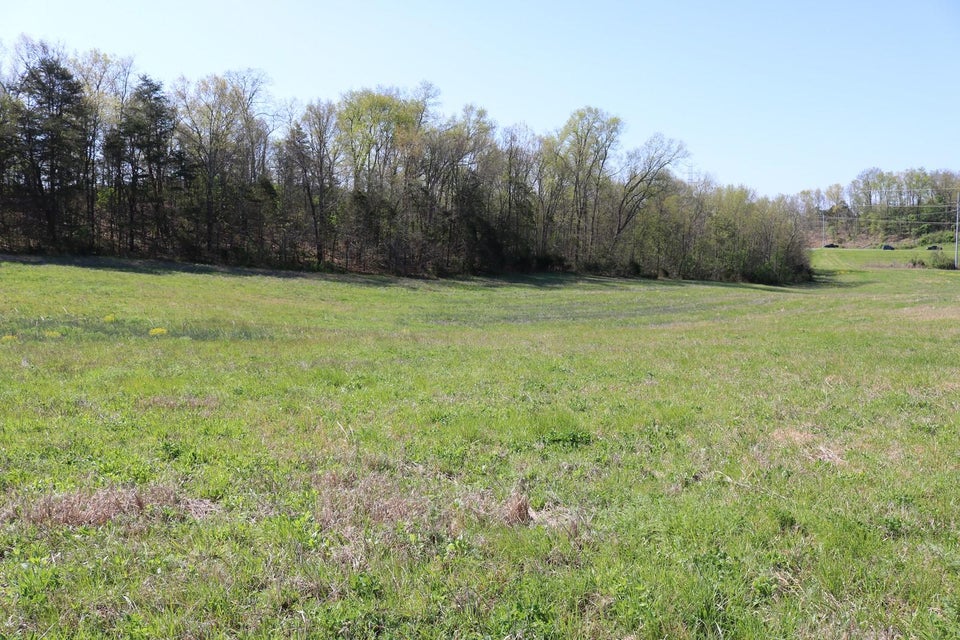Photo #4: Tbd Andrew Johnson Highway