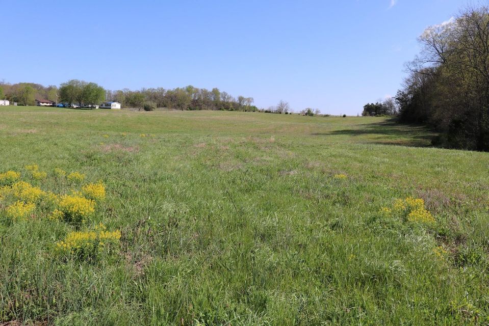 Photo #5: Tbd Andrew Johnson Highway