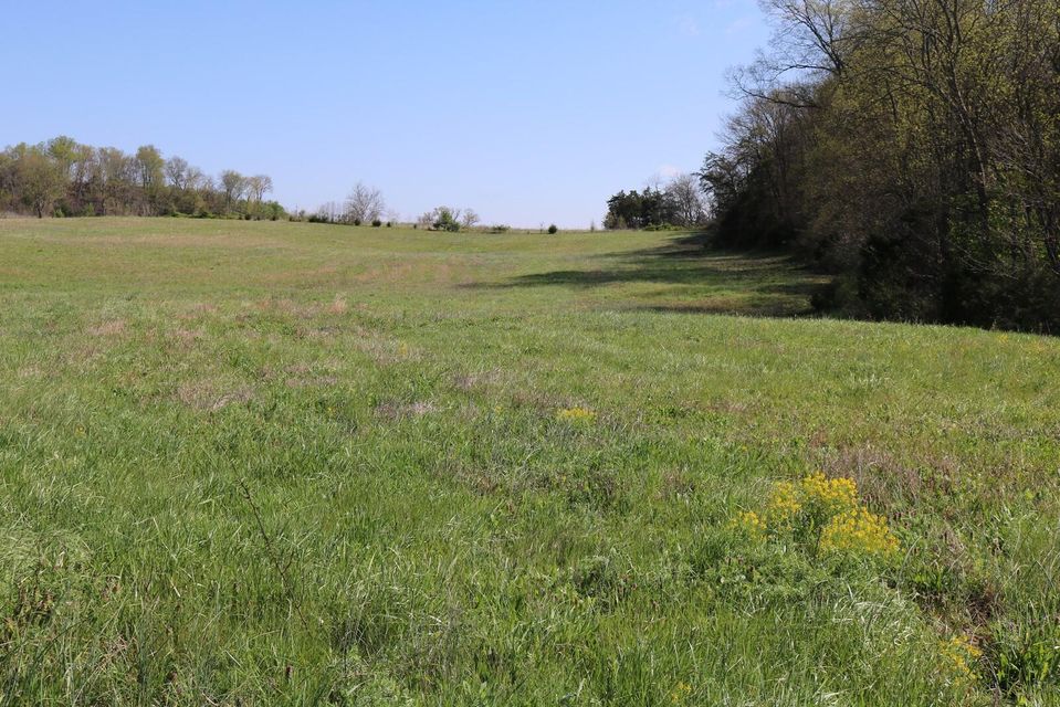 Photo #6: Tbd Andrew Johnson Highway