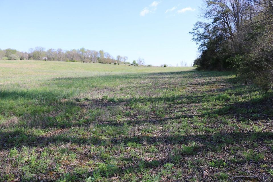 Photo #8: Tbd Andrew Johnson Highway