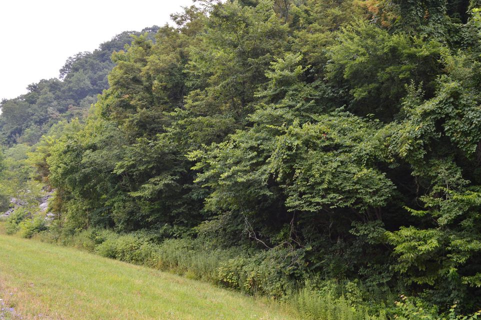 Photo #1: Tba Highway 25e