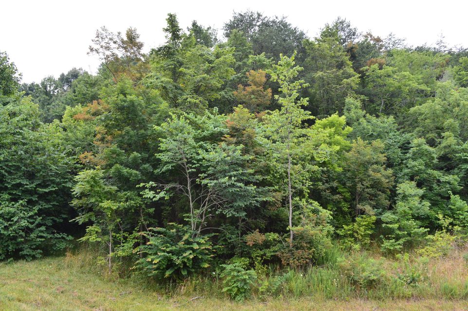 Photo #6: Tba Highway 25e