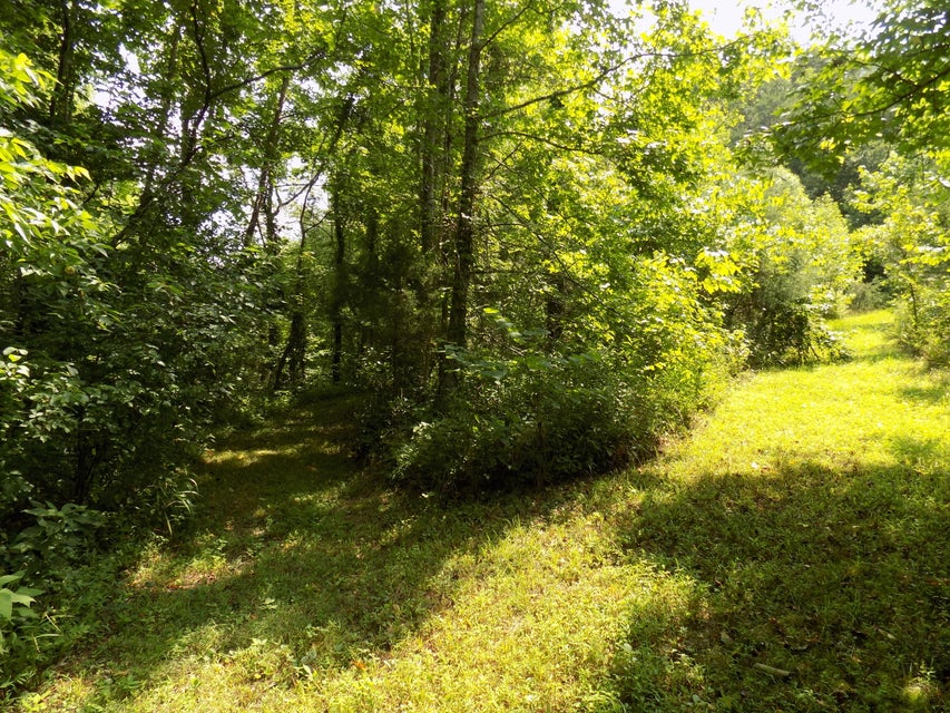 Photo #3: Tbd Webster Hollow Rd