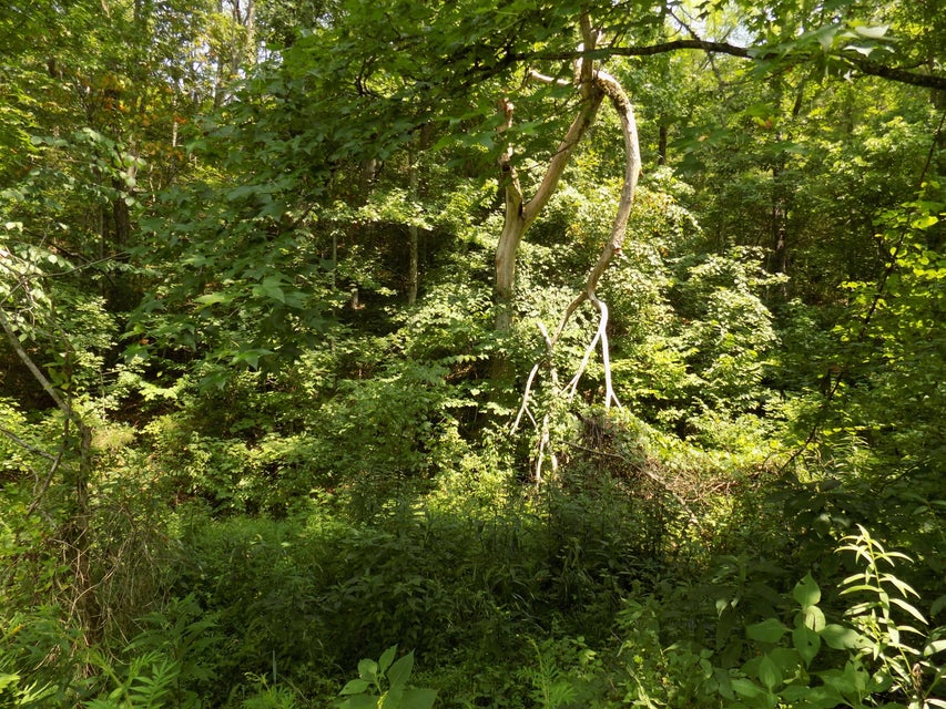 Photo #4: Tbd Webster Hollow Rd