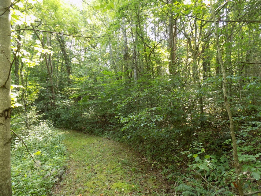 Photo #6: Tbd Webster Hollow Rd