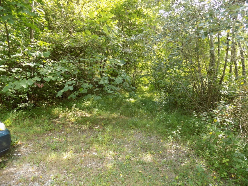 Photo #8: Tbd Webster Hollow Rd