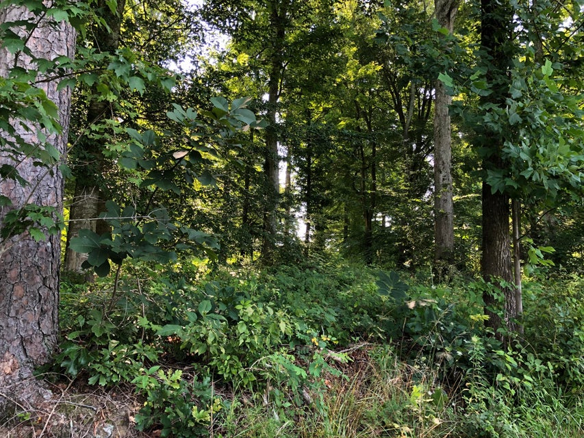 Photo #15: 190 Treadway Road