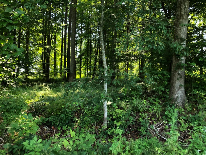 Photo #16: 190 Treadway Road