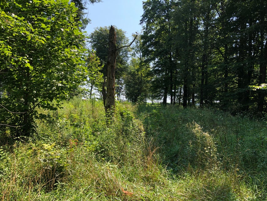 Photo #17: 190 Treadway Road