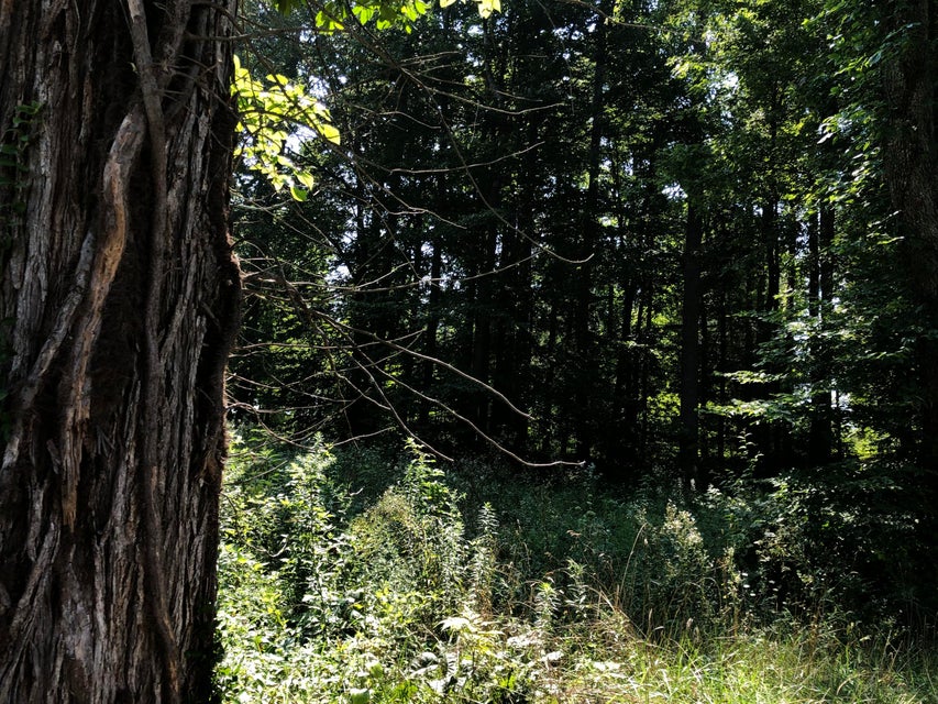 Photo #18: 190 Treadway Road