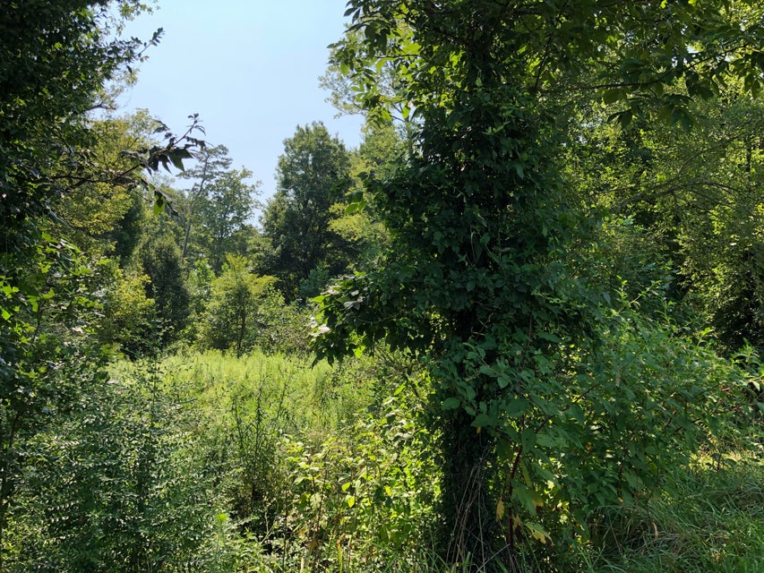 Photo #19: 190 Treadway Road