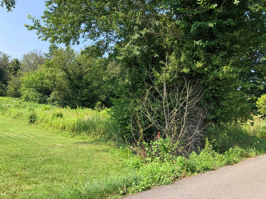 Photo #20: 190 Treadway Road