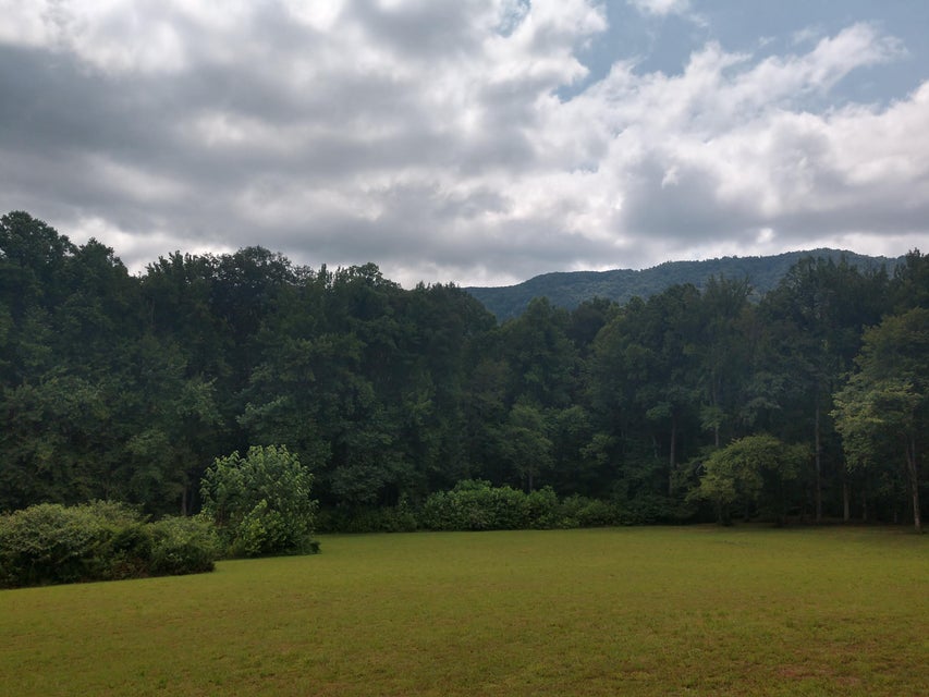 Photo #1: Tbd Screech Trail