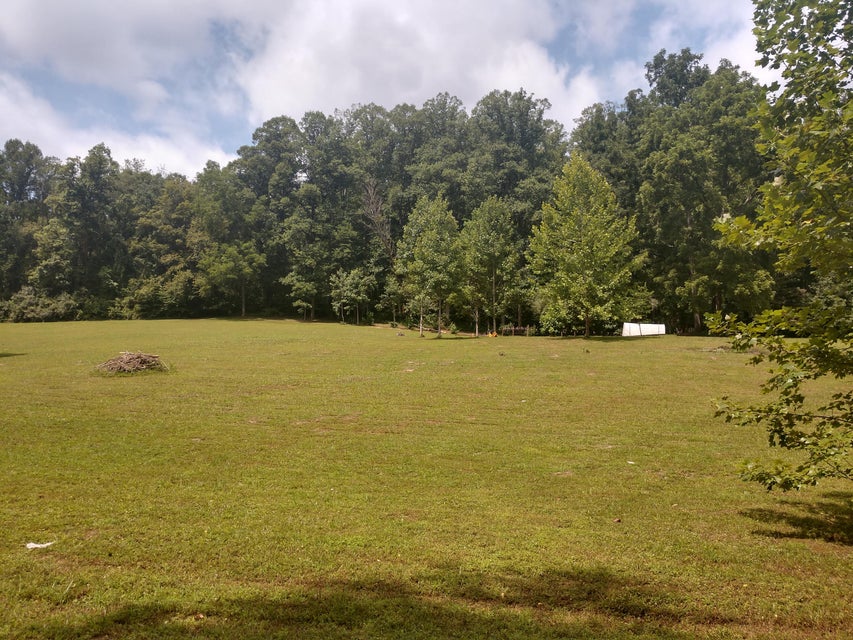 Photo #9: Tbd Screech Trail