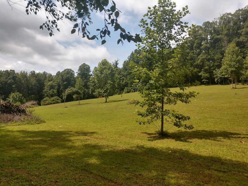 Photo #2: Tbd Screech Trail