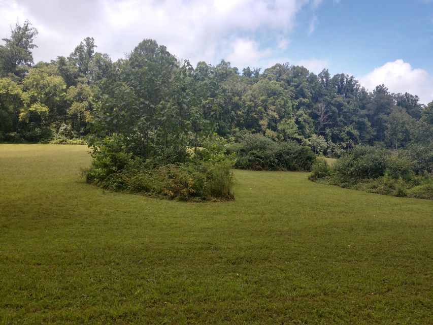 Photo #13: Tbd Screech Trail