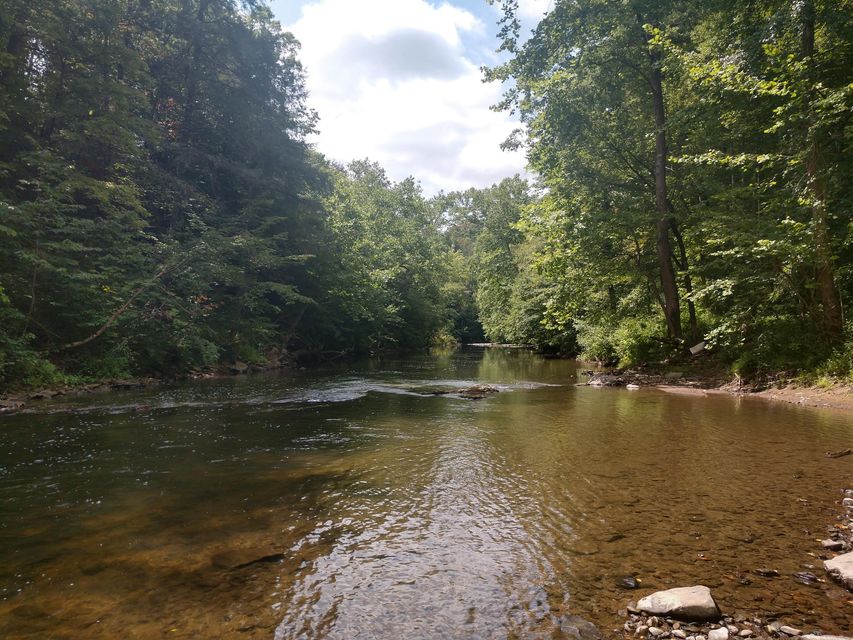 Photo #3: Tbd Screech Trail