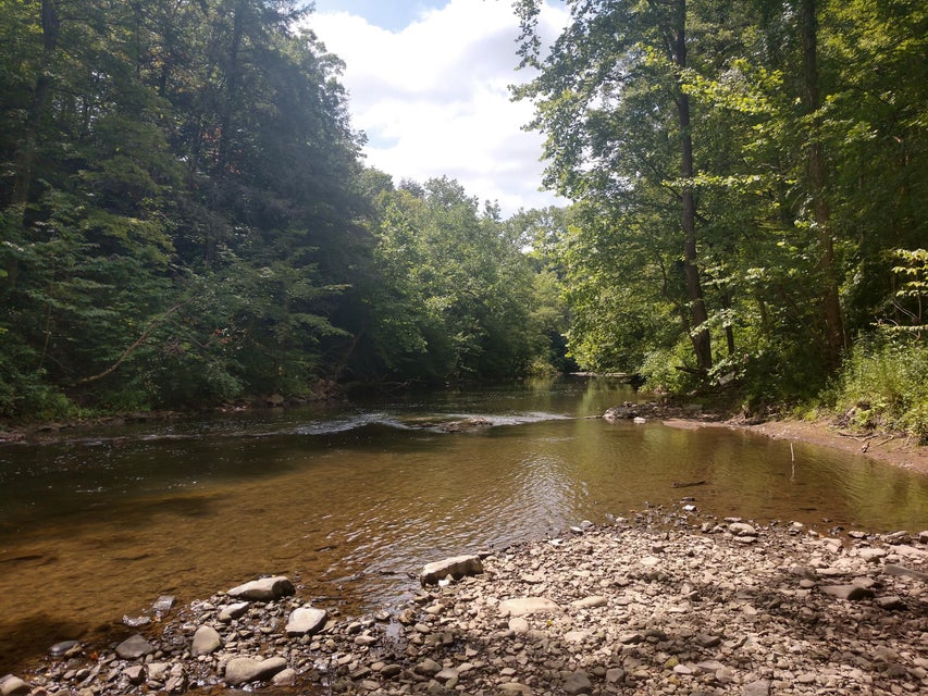 Photo #16: Tbd Screech Trail