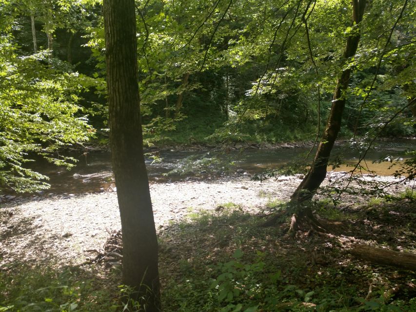 Photo #19: Tbd Screech Trail