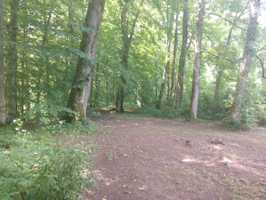 Photo #20: Tbd Screech Trail