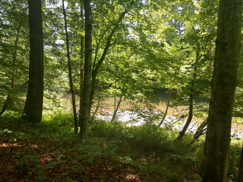 Photo #25: Tbd Screech Trail