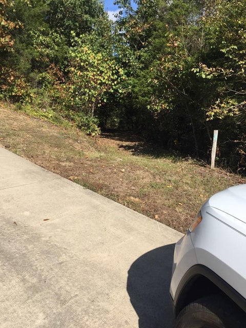 Photo #3: 0000 Jade Woods Drive