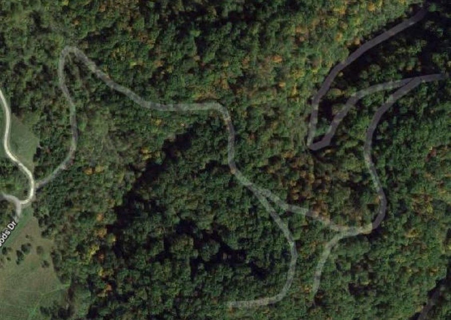 Photo #5: 0000 Jade Woods Drive
