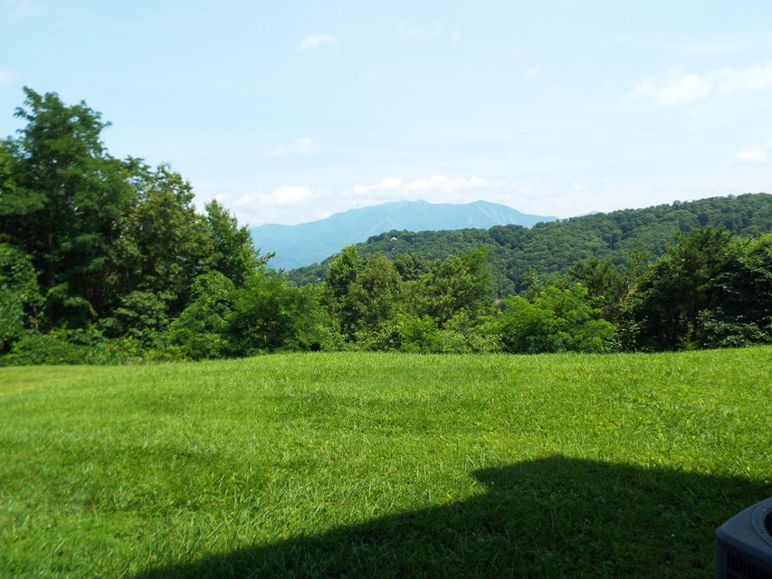 Photo #29: 1380 Ski View Drive