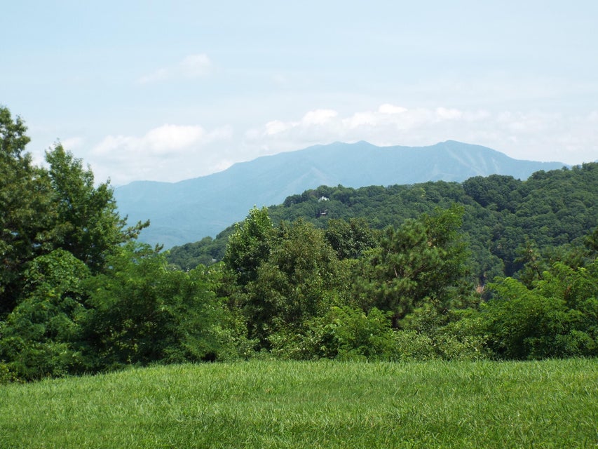Photo #30: 1380 Ski View Drive