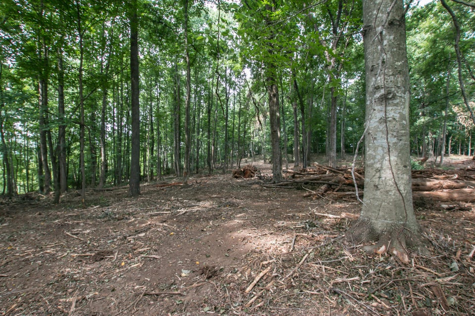 Photo #14: 181 Webb Court
