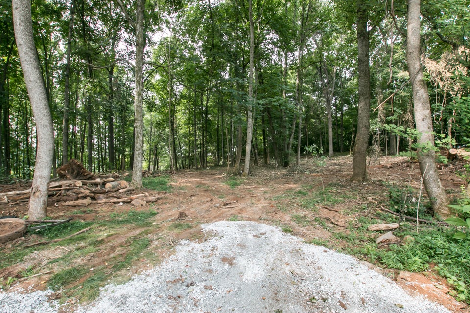 Photo #19: 181 Webb Court