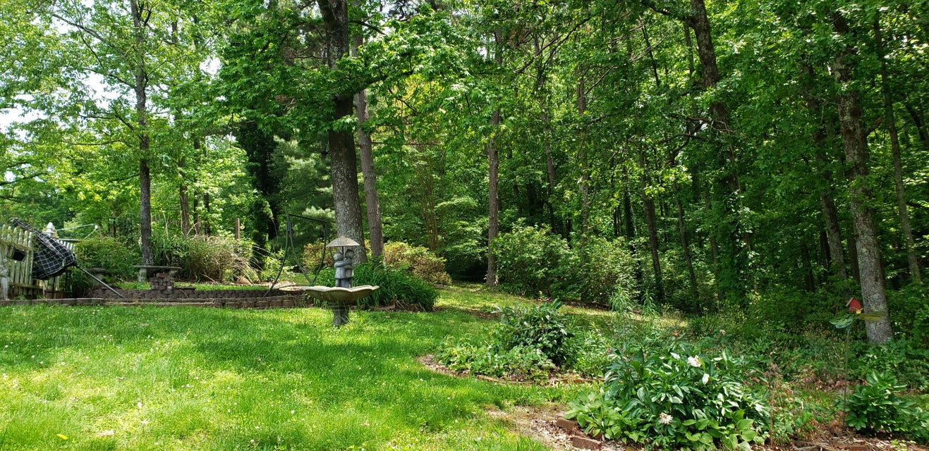 Photo #29: 151 County Road 681