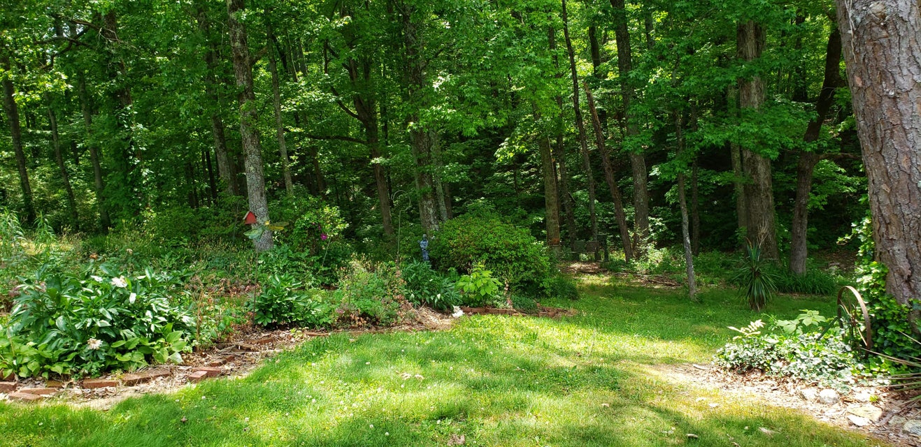 Photo #30: 151 County Road 681
