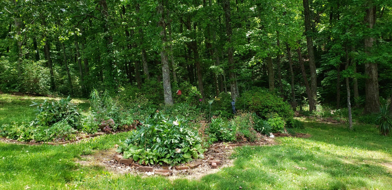 Photo #31: 151 County Road 681