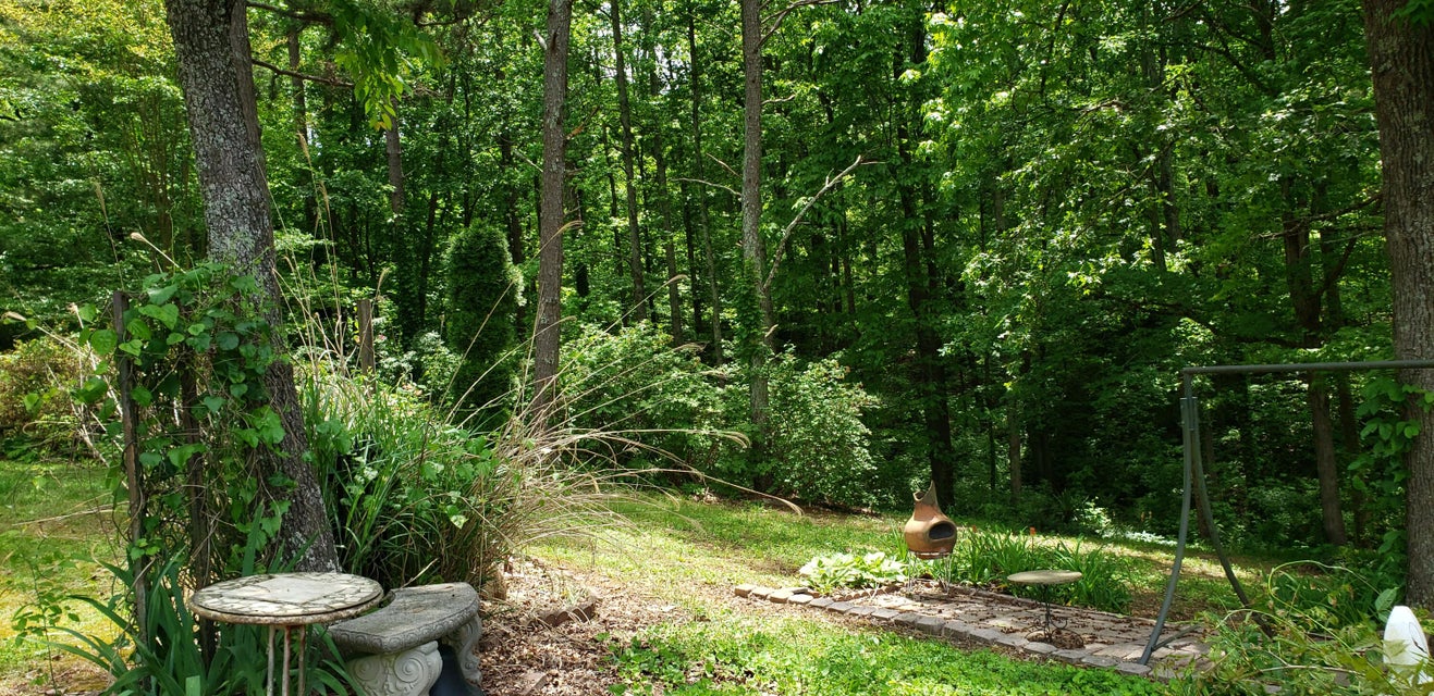 Photo #39: 151 County Road 681