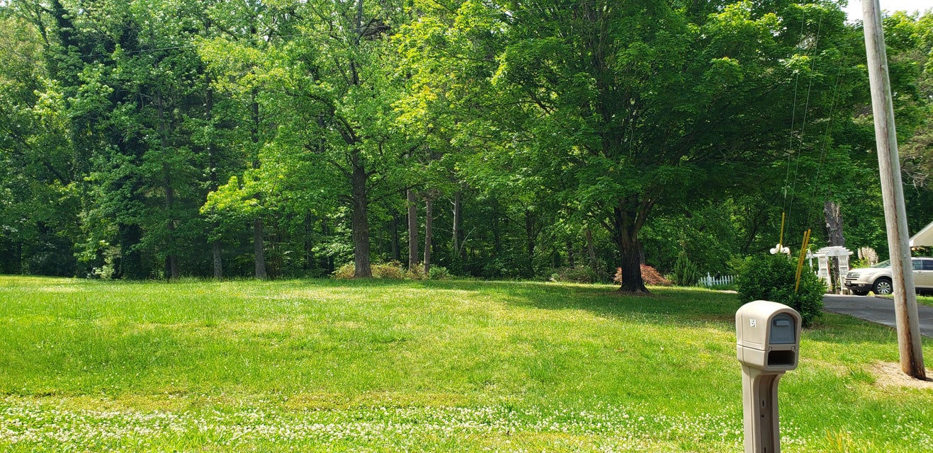 Photo #41: 151 County Road 681