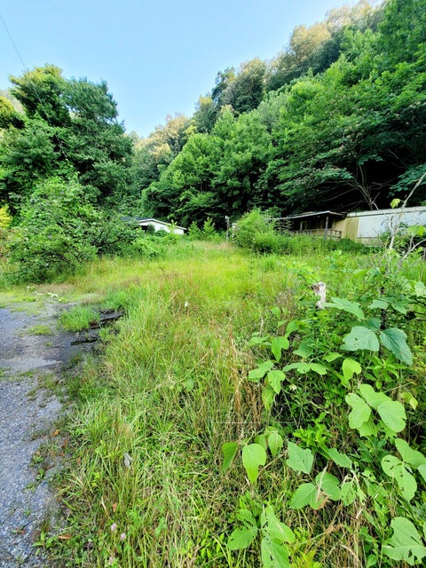 Photo #7: 20245 Dickenson Highway
