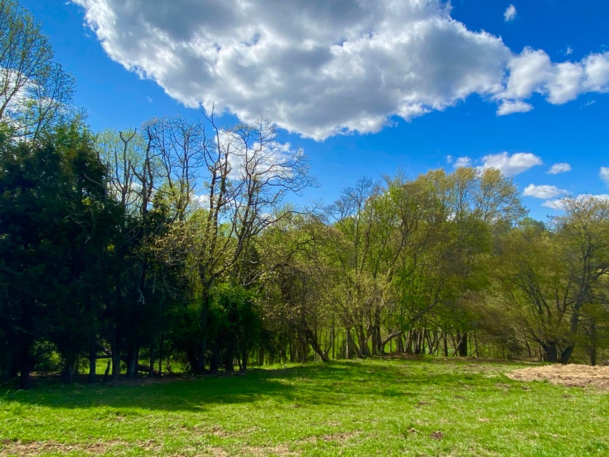 Photo #8: Tbd Glover Gibson Road