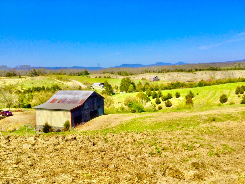 Photo #5: 627 & 681 Grassy Creek Road