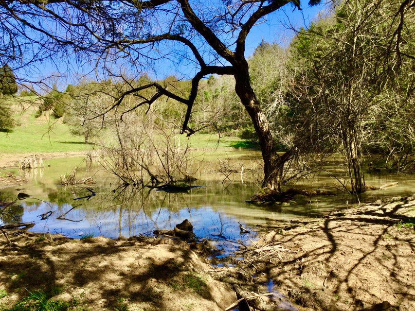 Photo #4: 627 & 681 Grassy Creek Road