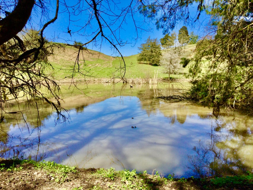 Photo #8: 627 & 681 Grassy Creek Road