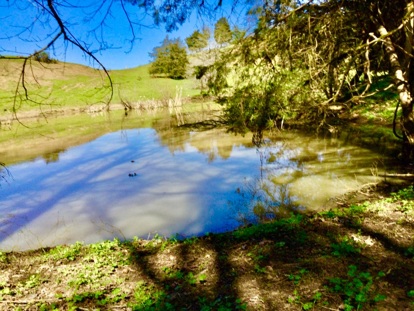 Photo #9: 627 & 681 Grassy Creek Road